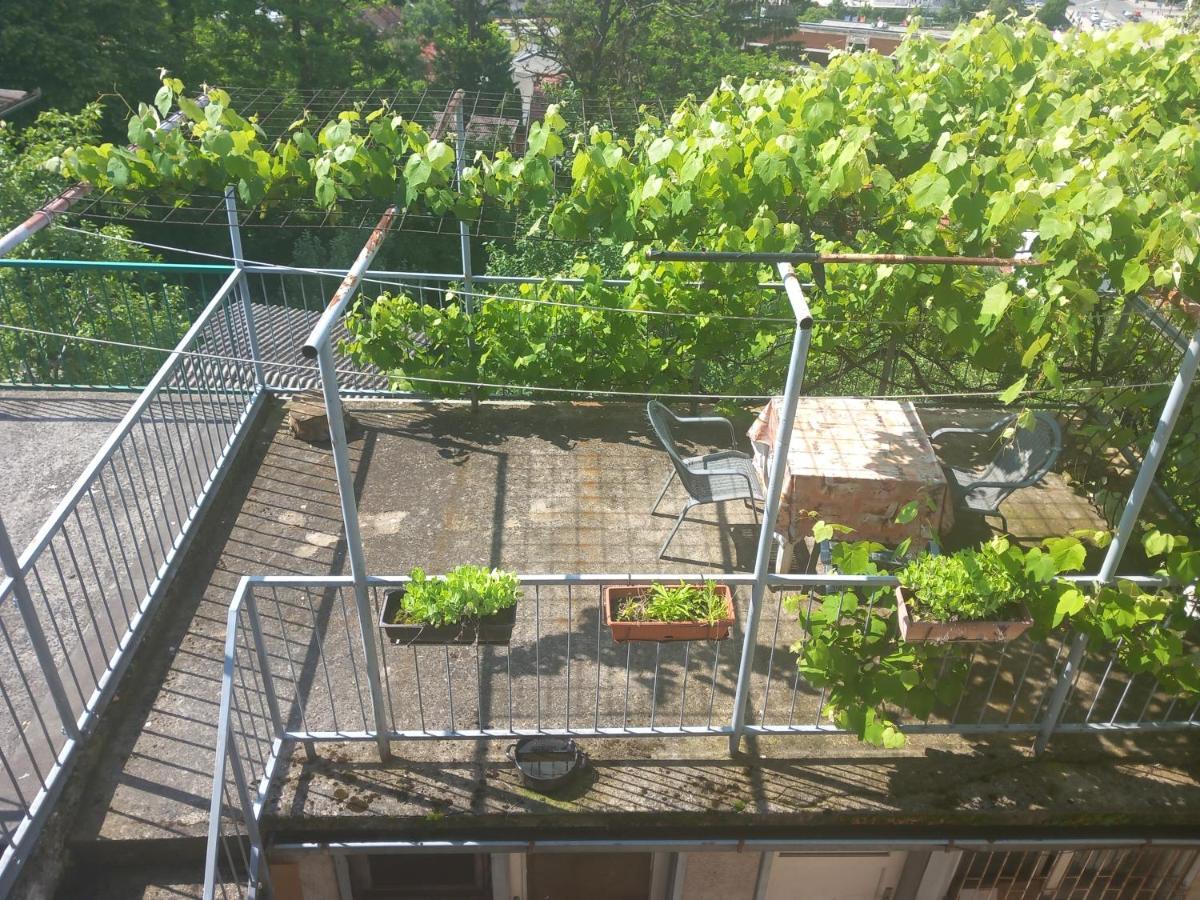 Apartmans Adi 塞拉耶佛 外观 照片